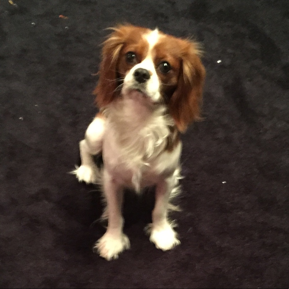 Meet your Posher, Michelle